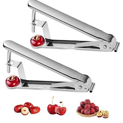 Compact Core Remover Fruit Core Remover Stainless Steel Pitter