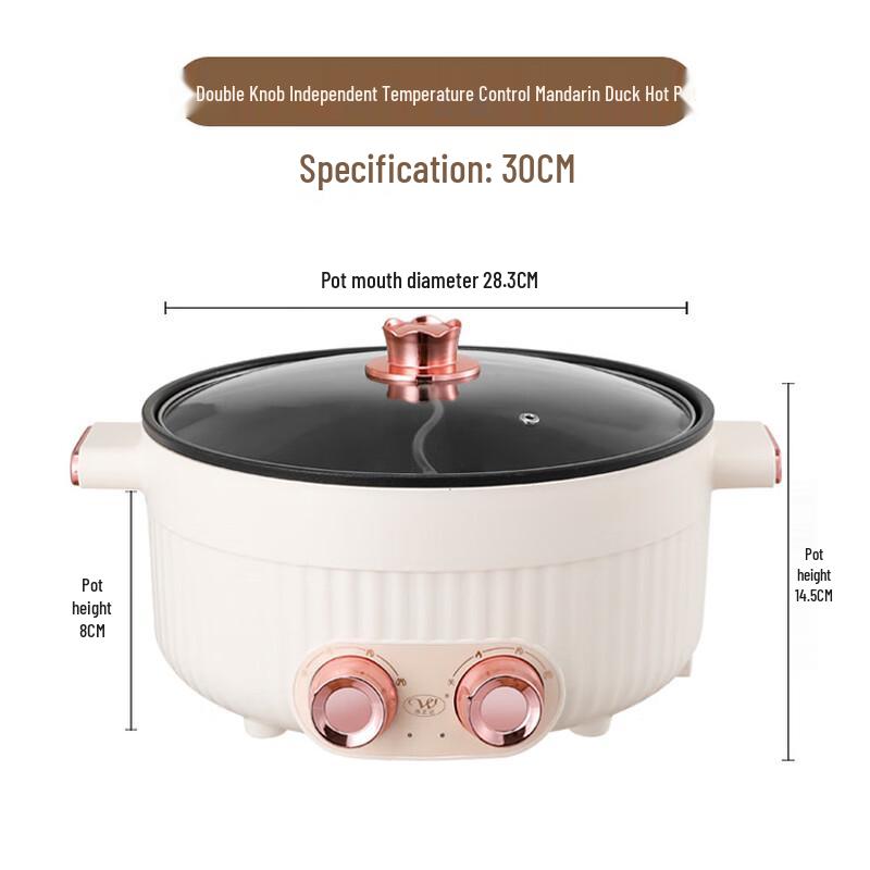 

Multi-functional Electric Divided Hot Pot