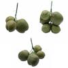 Fruit Ornament Artificial Coconut Fake Farmhouse Decor Simulated Fruit Props Ornaments Simulated Coconuts Artificial Fruit Props