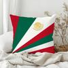 Flag Of Mexico Pillow Case Bedroom Sofa Living Room Backrest Decoration Square Cushion Nap Time