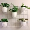 Wall Flower Stand Trellis Hedera 2 Metal Large Trellis for Plants Vertical Garden