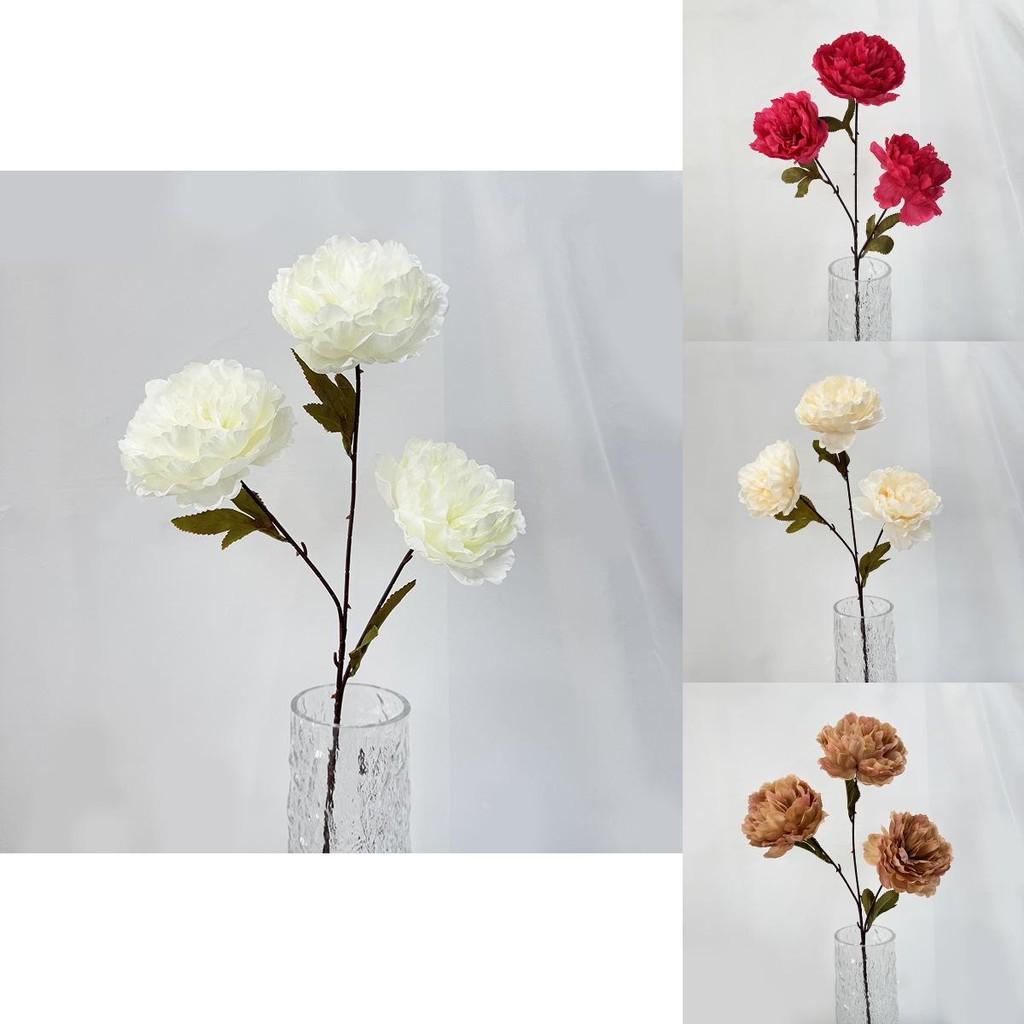 Elegant Artificial Peony And Camellia Silk Flowers For Home Decoration And Photo Shoots