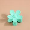 Korean Frosted Large Claw Clip - Elegant Shark Hair Accessory for Women's Updos