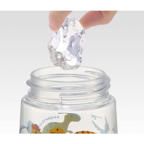 Skater Dinosaur Picture Water Bottle, 480ml Clear Bottle with Straw, for Boys, PDSH5-A