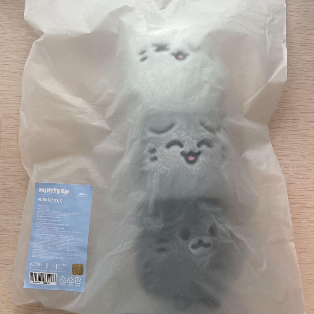 [USED] MINITEEN Pop-Up Plush Toy Seventeen Jun