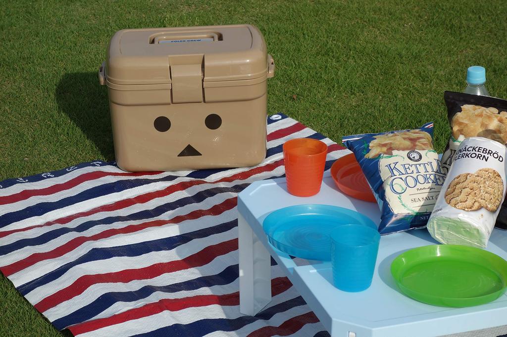 JEJ Astage Cooler Box 13L Сделано в Японии Danbo Forest Crew 38 x Глубина 26 x Высота #13 [Ширина 27 см]
