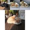 Animal Plush Cat Model With Faux Fur For Home Decor And Photography Props