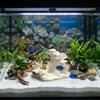 Natural Looking Fish Tank Coral Reef Landscaping  Aquarium Decoration