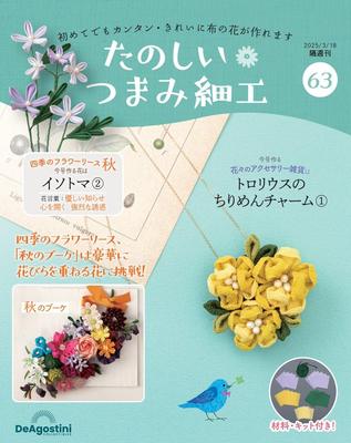 Fun Tsumami Zaiku 63 No. [Encyclopedia] (with Kit)
