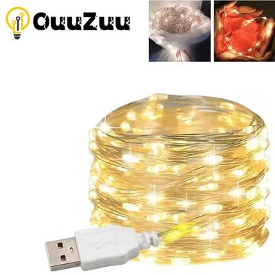 USB LED String Lights Copper Silver Wire Garland Light Waterproof LED Fairy Lights For Christmas Wedding Party Decoration