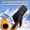 Warm Winter Gloves Plush Cycling Gloves Fashion Driving Mittens  Men Women