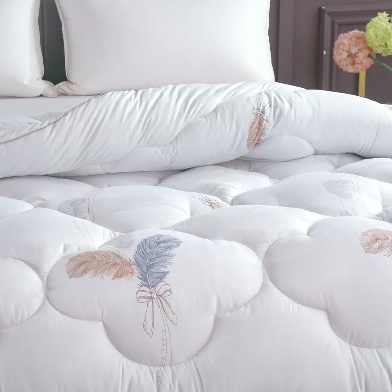 PLOVER Skin-Friendly All-Season Quilt