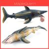 Dinosaurus Mořský Helicoprion Model Pro Děti Vzdělávací Pvc Realistická Hračka
