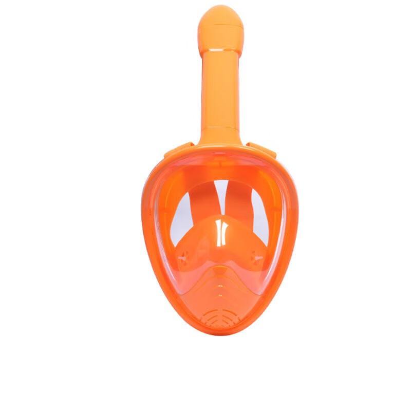 Union Ambassador Diving and Snorkeling Mask