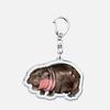 Funny Baby Hippo Cute Keychains Keyring for Accessories Bag Moo Deng Meme Pendant Keyring Jewelry Fans Gifts