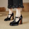 High heels women's 2025 spring and autumn new retro T-button square head Mary Jane shoes waterproof table thick heel single shoes women