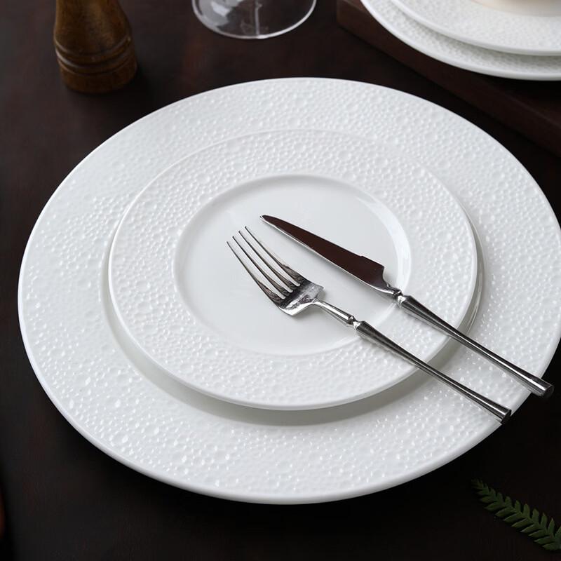 ZISIZ Ceramic Flat Dinner Plates