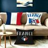 Le Coq Gaulois France Flag Square DoubleSided Printed Pillow Case Bedroom Bedside Pillow Sofa Cushion Cover
