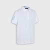 [Collar Letter Fashion Print] Spring/Summer Casual Men's Stand Up Collar Short Sleeved Polo Shirt