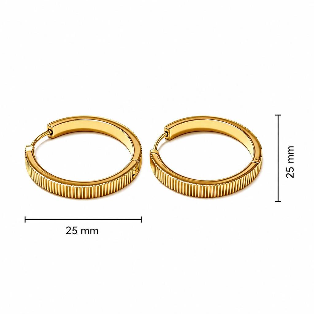 Trendy Stainless Steel Large Hoop Earrings: Exquisite, Personalized, Light Luxury High-End Ear Hoops