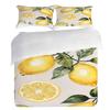 Pillowcase Quilt Cover 3-Piece Bedding Watercolor Style,Lemon Sliced Leaf Pattern,Washable,Durable