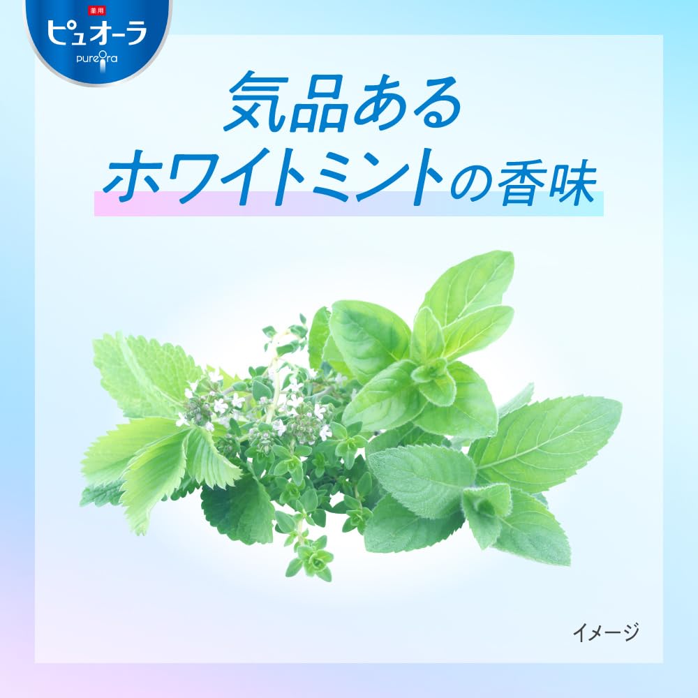 Medicated Pureora Nano Bright Toothpaste 115g x 2 + Toothbrush [Quasi-drug]