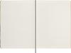 Moleskine Lok Ng x Year of the Tiger Limited Edition Collector's Box Hardcover A4 Size Horizontal Ruled LECNYTIGCLT
