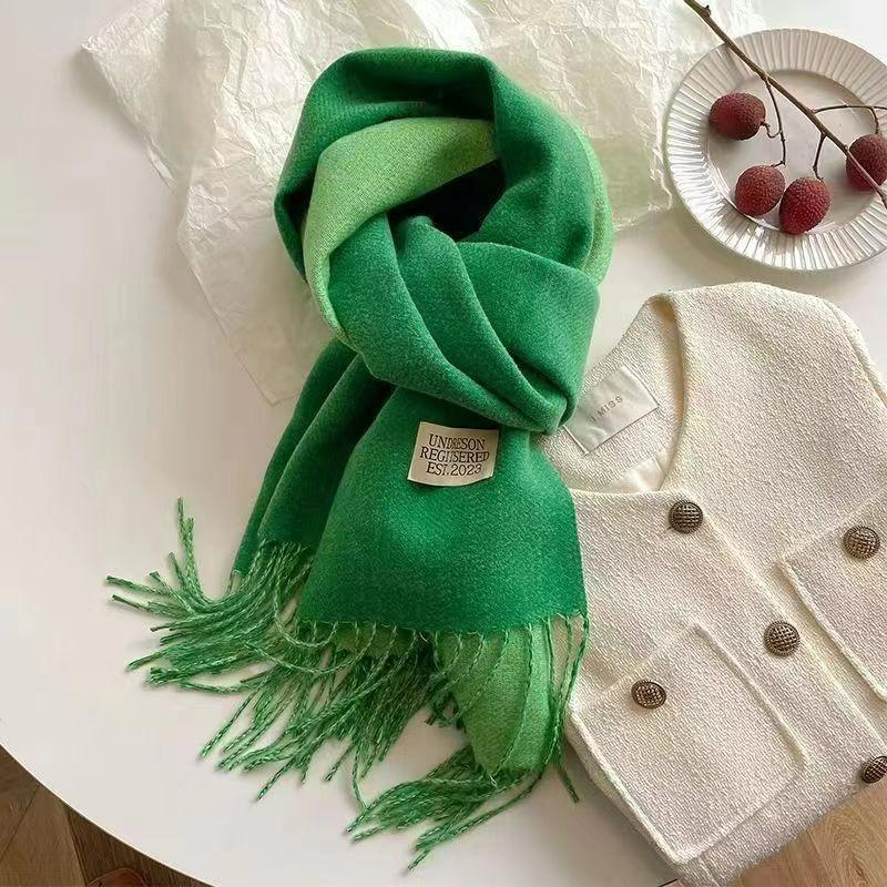 Autumn and Winter Korean Version of The Solid Color Imitation Cashmere Double-sided Tassel Scarf Female Thickened Student Dual-use Shawl Trend
