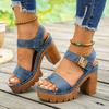 New Large-size Platform Shoes, Casual Thick-heeled Sandals for Women