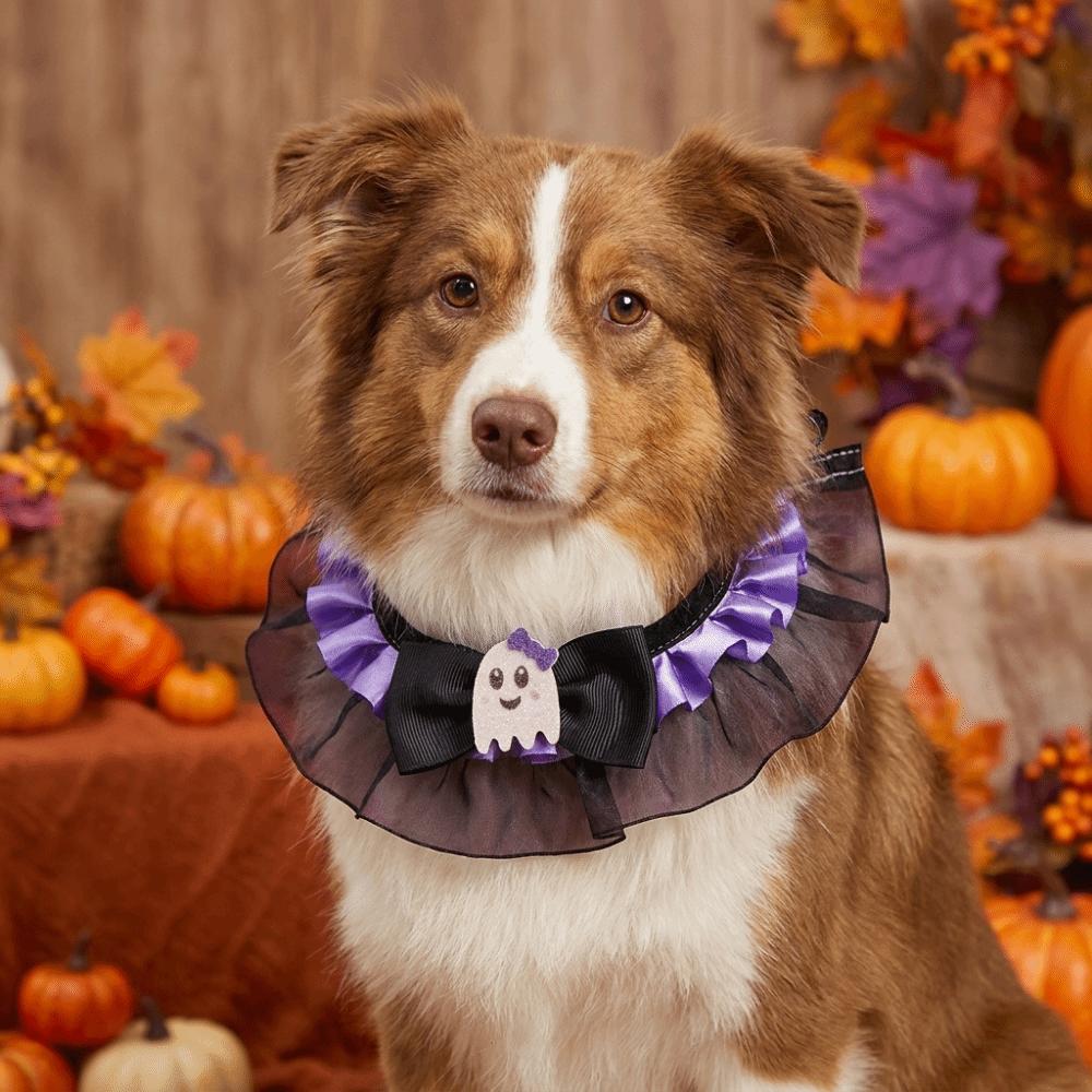 Cartoon Pet Halloween Costume Pumpkin Printed Halloween Dog Collar Halloween Cat Collar  Home Decor