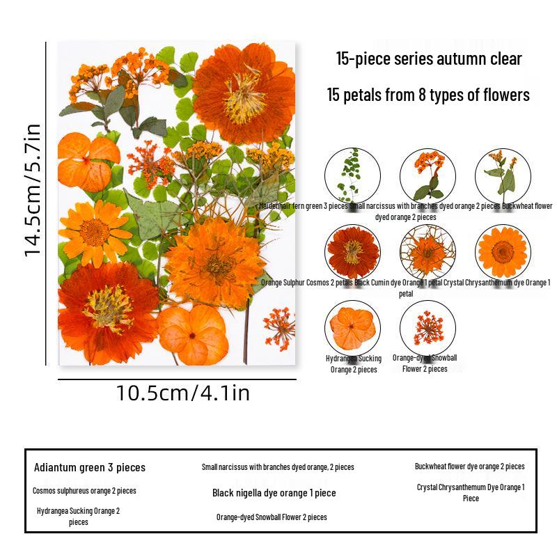 DIY Dried Flower Specimen Sticker Set for Kids: Handmade Pressed Flower Frames & Resin Bookmark Craft Kit