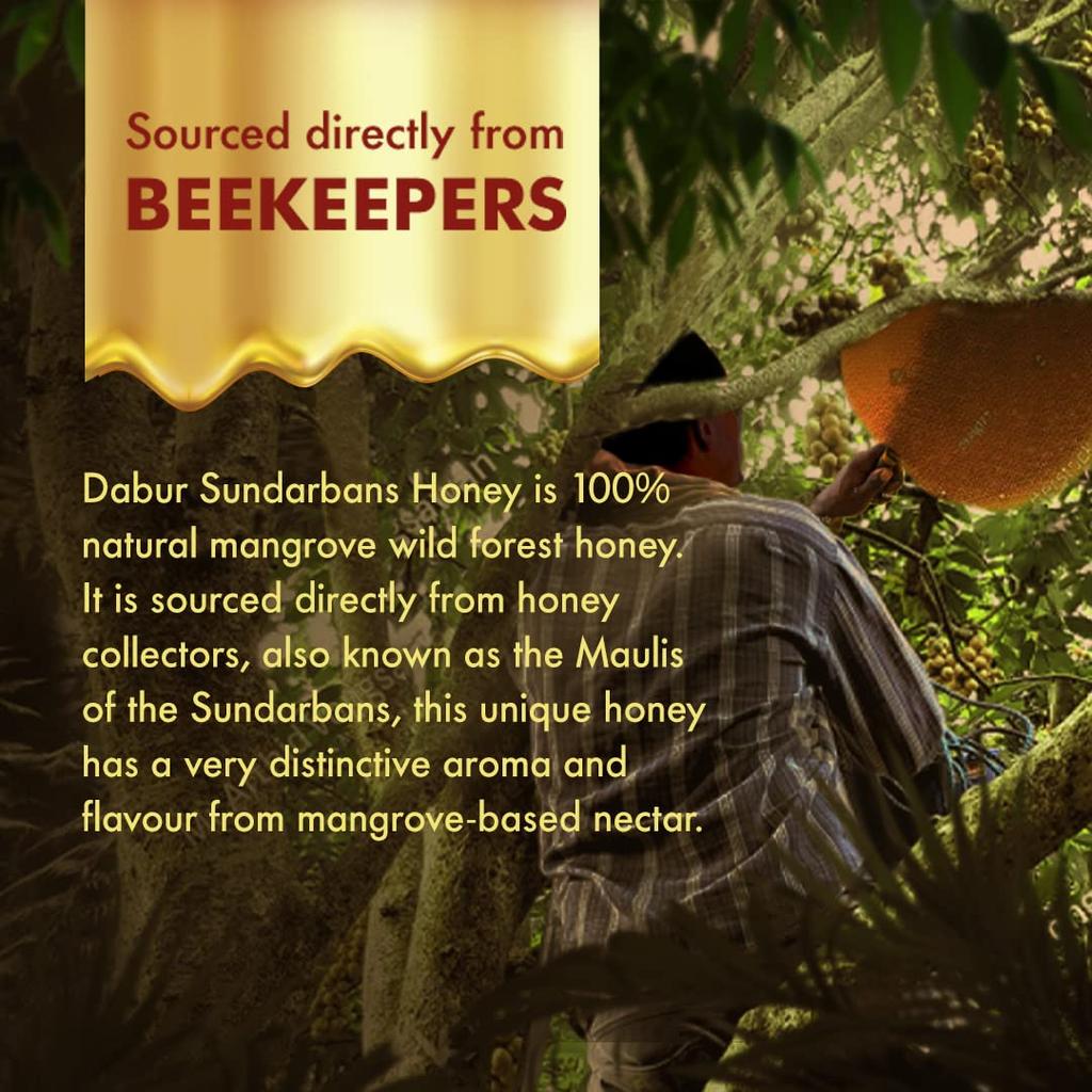 Dabur Sundarbans Vill Skogshonning 500g | 100% Ren Rå Honning | Naturlig Mangrove-nektar | Rik på Antioksidanter | Støtter Immunitet & Fordøyelse