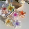 1/2Pcs Gradient Colored Flower Acrylic Hair Claws Clip Women Girls Sweet Hairpins Beach Hawaiian Style Hair Accessories