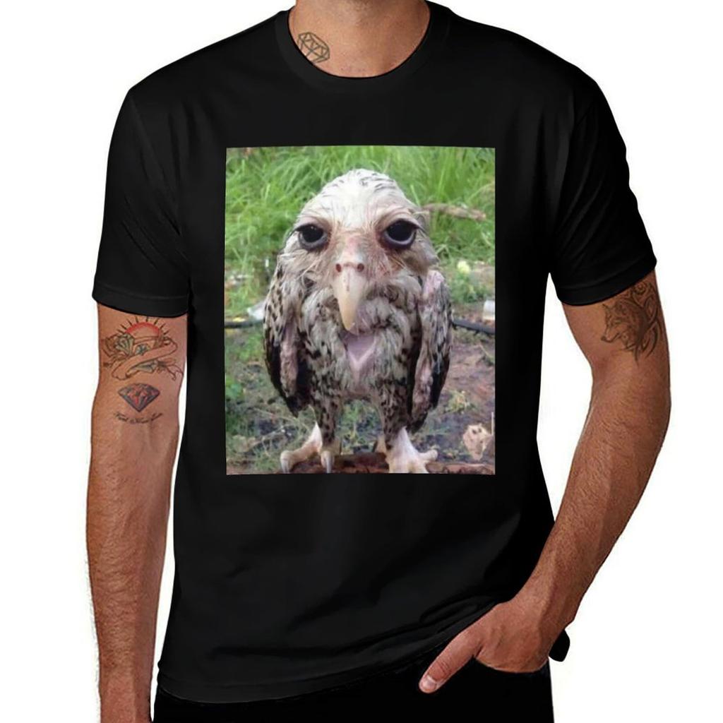 Wet Owl Meme Essential Tshirt Work Casual Loose Fit Tshirt