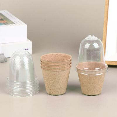 10 st Plantskola Kruka Biologiskt nedbrytbar Ventilationshål Genomskinliga kupol Engångs med lock Blomgroning Massa Plantskola Kruka Hemförsörjning