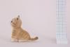 Hamanaka Felt Sachiko Susa Aclaine Dog Brown Tabby Kit, Design, & Cat, Cat, H441-512
