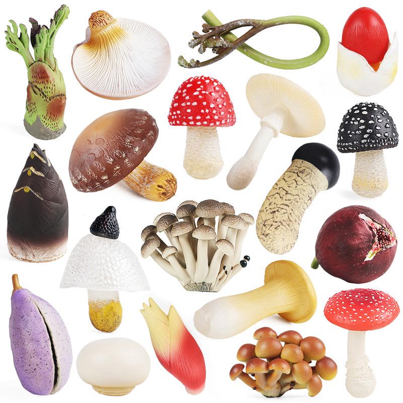 Simulated Vegetables & Mushrooms: Educational Props & Decorative Toys for Kindergarten
