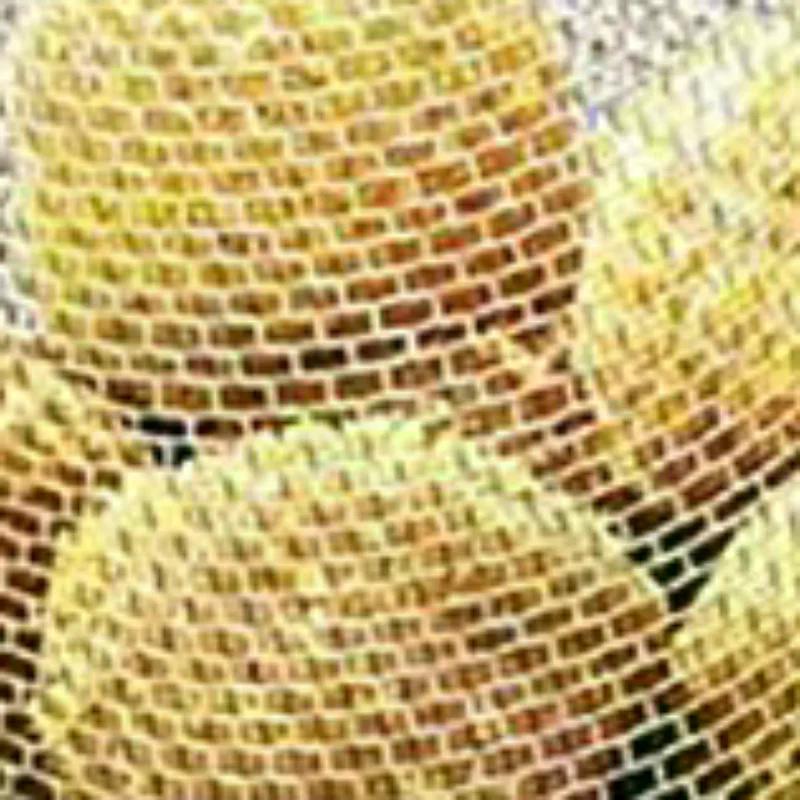 Panier à frites en acier inoxydable, passoire ronde pour friteuse, avec poignée, en fil métallique