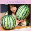 Adorable 3d Watermelon Plush Toy Soft Cushion For Kids Room Decor And Gifts