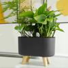 Self Watering Planter with Water Level Indicator Desktop Lazy Flowerpot Self Absorption Planter Pot for Home Office Decoration