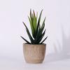 Artificial Succulent Plant Ornamental Waterproof DIY Crafts Gift Exquisite Simulation Tequila Sculpture for Home