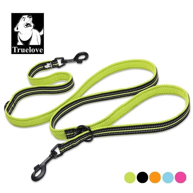multi dog leash