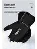 Boton Thinsulate Ski & Mountaineering Gloves: Cold & Frost Protection, Winter Warmth, Five-Finger Design, Suitable for Electric Vehicles.
