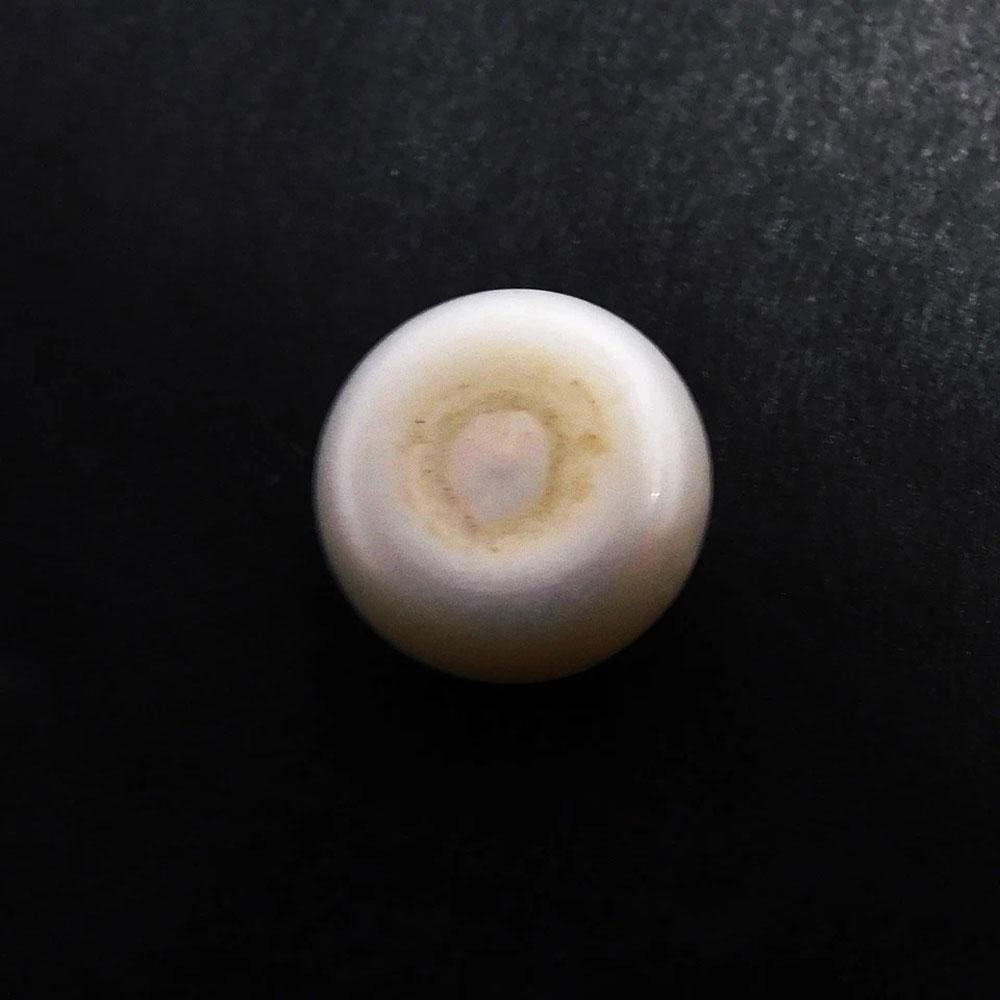 Lot of 24 Natural White South Sea Pearls – 6-9 Ct, High Luster, Certified Natural Pearl Gemstone