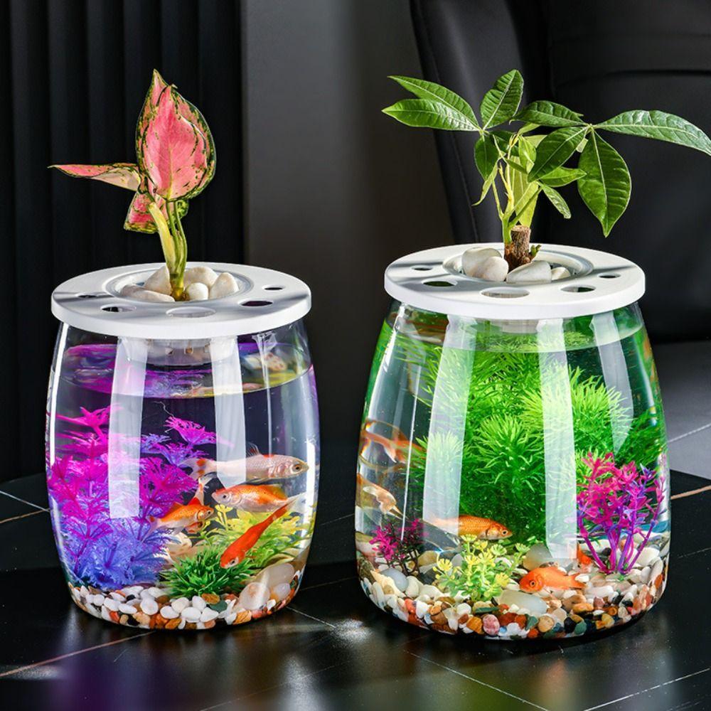 Transparent Small Clear Fish Tank Shatterproof Goldfish Tank Turtle Terrarium  Aquarium Setup