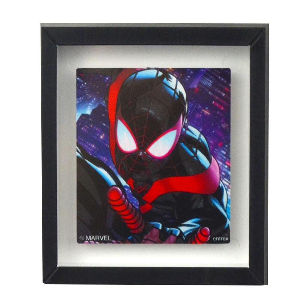 Marvel Frame Magnet Complete Set [Entrex] Spider-Man 12-Piece