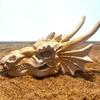 Aquarium Handicraft Hallowed Dinosaur Beach Crafts Decoration FishTank Supplies Sea Art Crafts Decorations Fish Toy