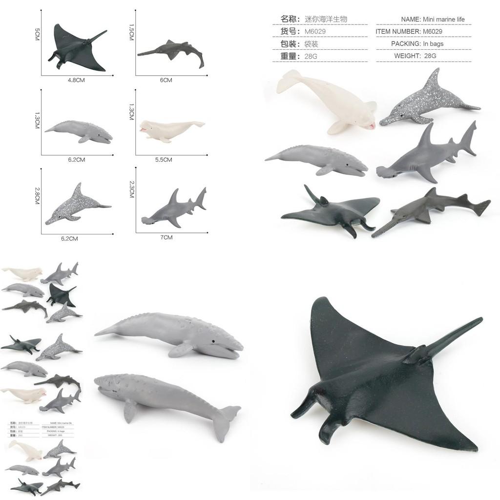 Pvc Ocean Life Dolphin Devil Fish Beluga Shark Realistic Model Collectible Display Figurine