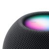 Apple HomePod mini Smart Speaker (CN version)