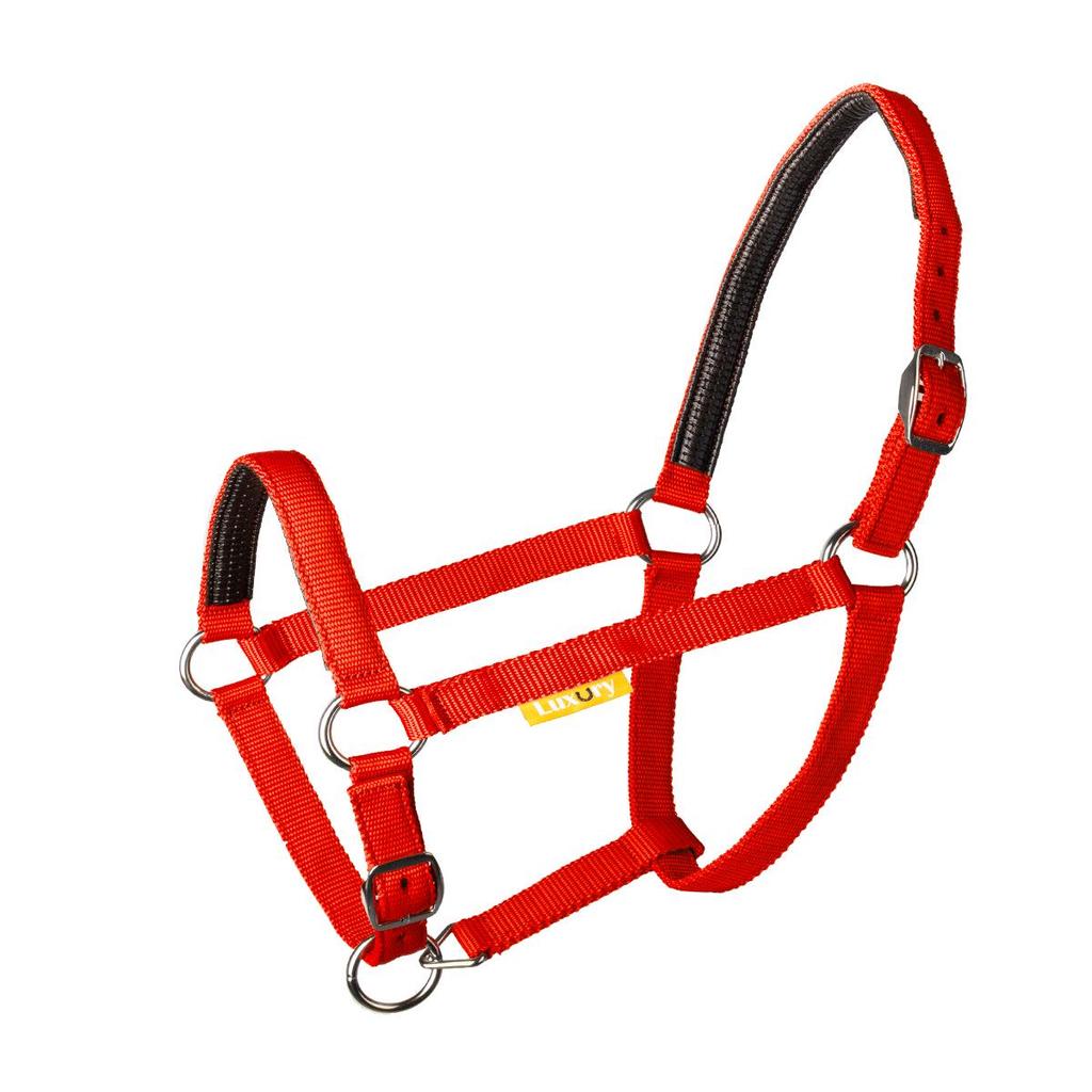 Durable Woven Horse Halter & Lead Rope for Training and Riding